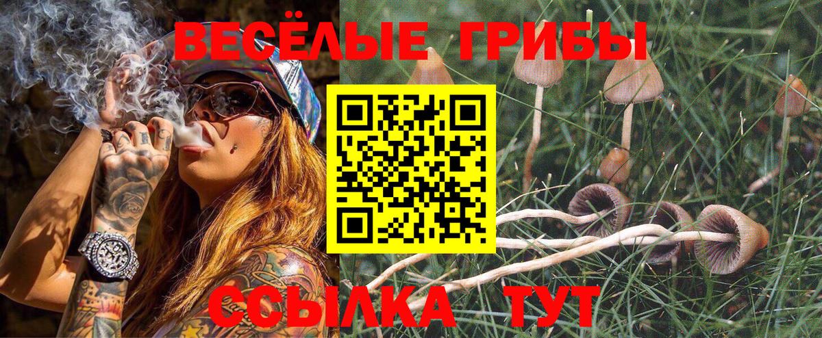 Псилоцибиновые грибы MAGIC MUSHROOMS  Вход с VPN  Коммунар 